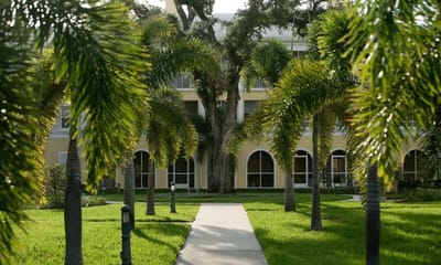 Pathway leading to a residential building surrounded by palm trees