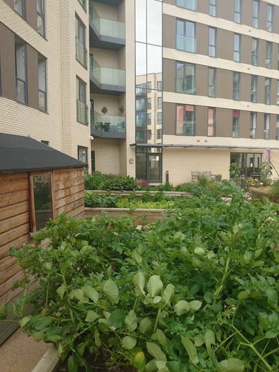 Gardens and building exterior of Huntley Place