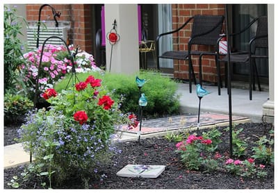 Outdoor garden space with flowers and seating
