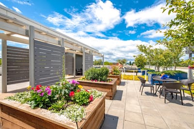 Outdoor patio with vibrant flowers and seating area