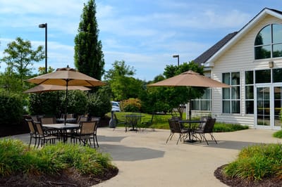 Outdoor seating area with umbrellas and greenery