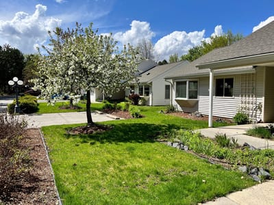 Blooming tree in a well-maintained outdoor space
