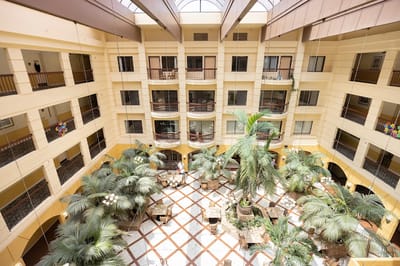 Interior view of a spacious common area with palm trees