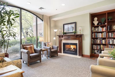 Cozy interior lounge area with fireplace and bookshelves