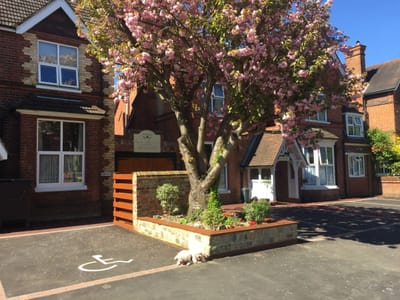 Beautiful outdoor space with flowering tree and building exterior