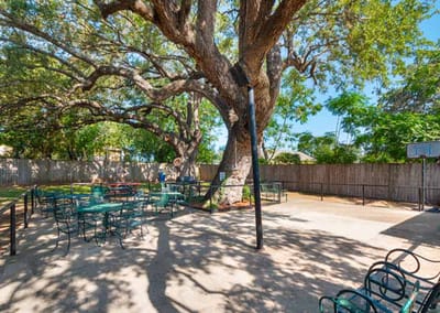 Outdoor space with seating under a large tree