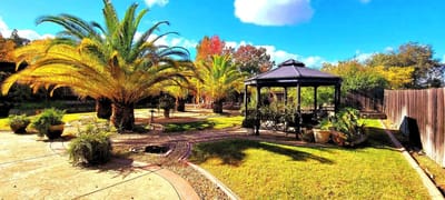 Beautiful landscaped outdoor space with gazebo and palm trees