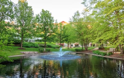 Serene outdoor space with a pond and fountain surrounded by trees