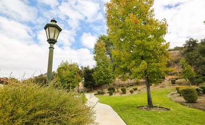 A scenic outdoor path with trees and a lamp post