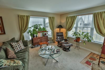 Cozy common area with comfortable seating and plants