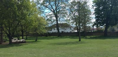 Outdoor space with trees and a view of the building