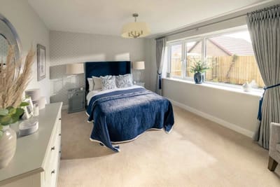 Brightly decorated resident room with a large window