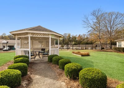 A gazebo in a green outdoor space with hedges