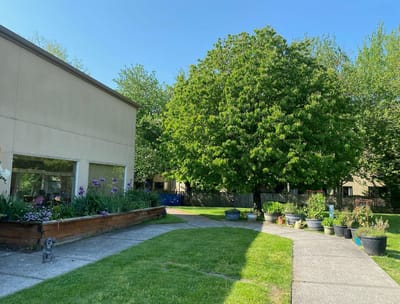 Pathway in the outdoor space of the assisted living facility