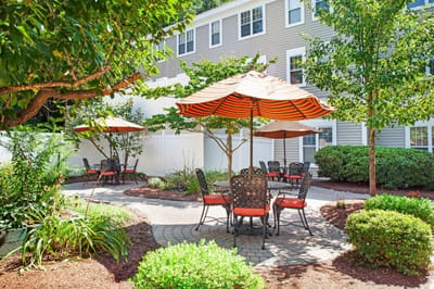 Outdoor seating area with umbrellas in a garden