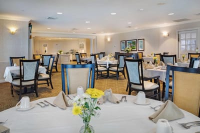 Bright dining room set for a meal service