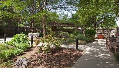 Serene garden pathways surrounded by greenery