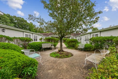 Outdoor seating area surrounded by greenery