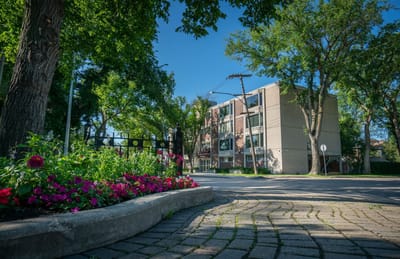 Exterior view of a senior living facility surrounded by trees