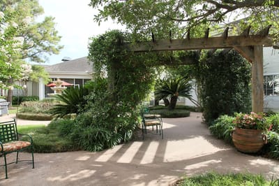 Outdoor garden area with seating and greenery