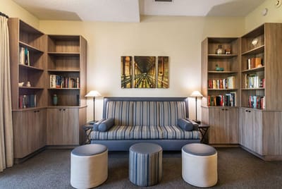 Cozy common area with a sofa and bookshelves