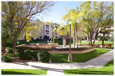 Beautiful landscaped outdoor area with gardens and pathways