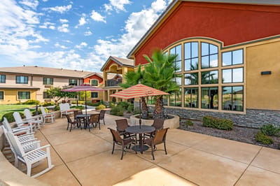 Outdoor seating area with umbrellas and palm trees