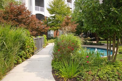 Garden pathway leading to a pool area