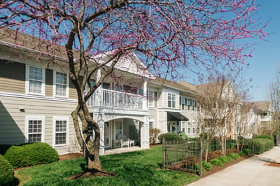 Exterior view of a senior living facility with blooming trees