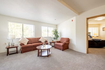 Bright interior of a cozy living room