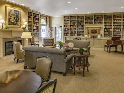 Cozy interior lounge with bookshelves and seating