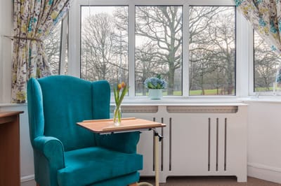 Cozy interior with an armchair and a view of trees