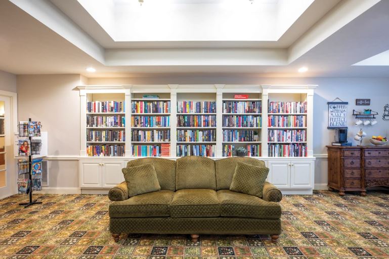 Cozy interior common area with bookshelves and sofa