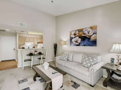 Bright, furnished interior of a living room