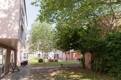 View of a garden area with trees and seating