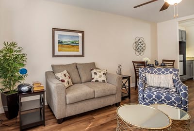 Cozy living room with comfortable furniture
