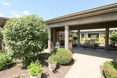 Outdoor garden area with lush greenery