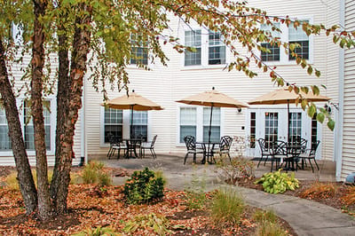 Outdoor seating area with umbrellas and plants