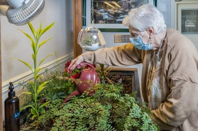 Senior resident watering indoor plants