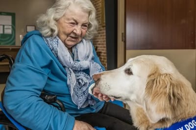 Senior resident smiling while petting a therapy dog.