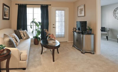 Bright living room area with comfortable seating
