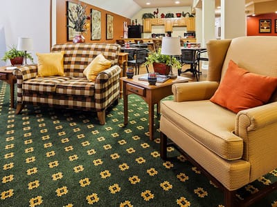 Cozy sitting area with patterned armchairs and warm decor