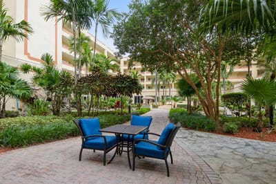 Outdoor seating area surrounded by lush greenery