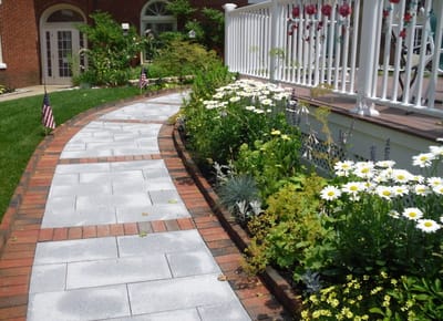 Pathway lined with flowers in a garden area