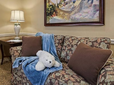 Cozy interior lounge area with plush decor