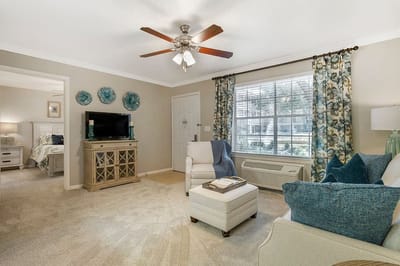 Bright living room with comfortable furnishings
