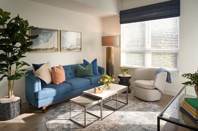 Bright and cozy interior living space with modern furniture