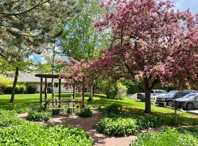 Beautiful outdoor garden with blooming trees