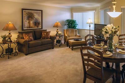 Cozy living room setup with elegant decor