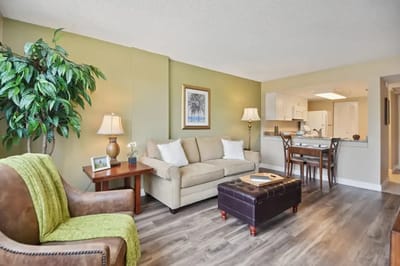 Comfortable living room in a senior apartment